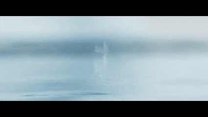 5.gif
